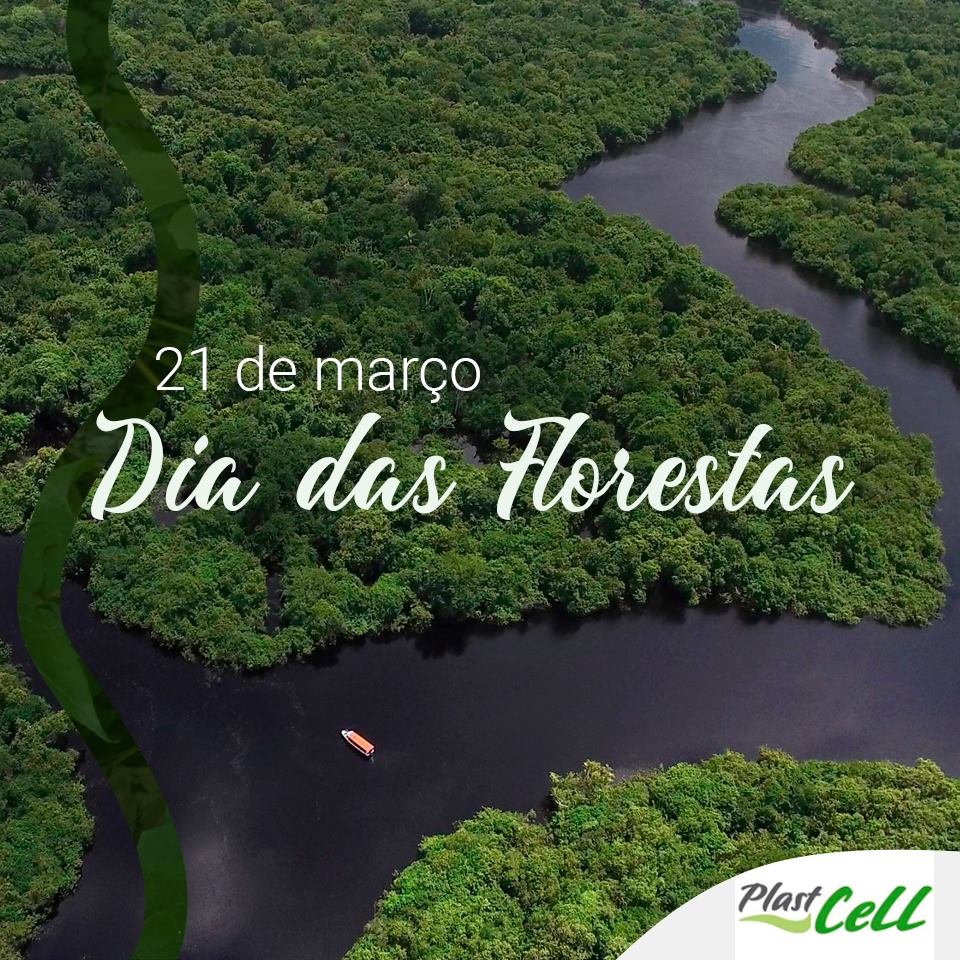 dia da floresta